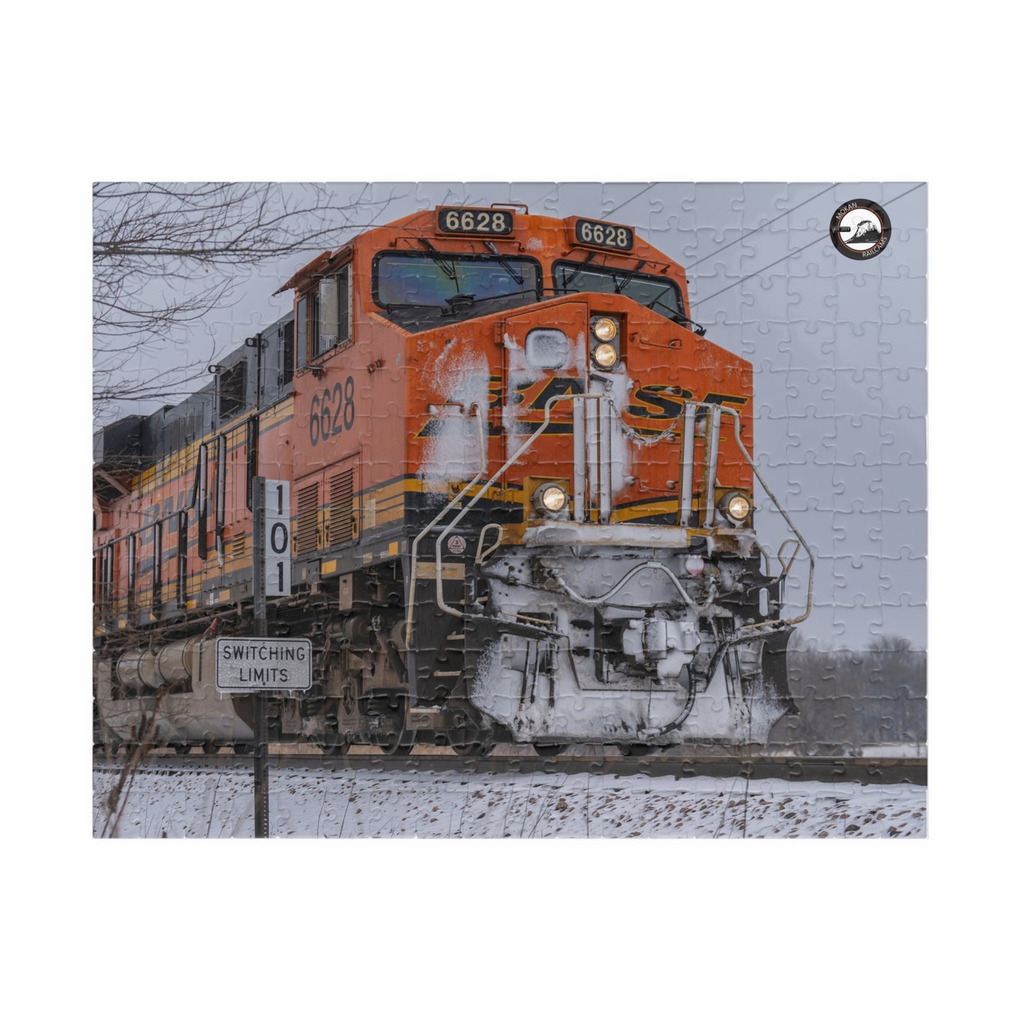 MOKAN Railcams - Train Puzzle