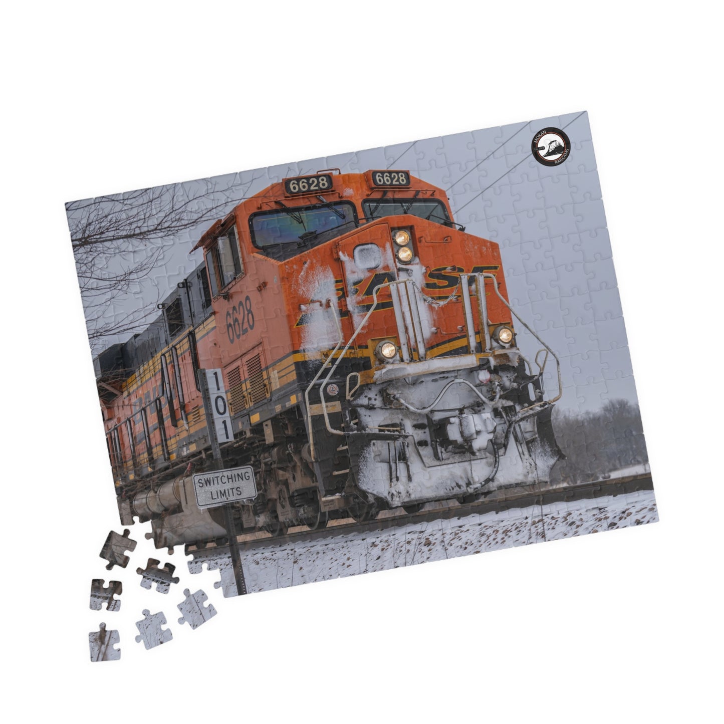 MOKAN Railcams - Train Puzzle